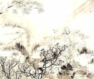 养殖网兔子，养殖兔子网站有哪些