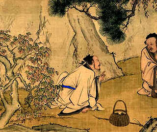 普通蜜蜂的毒性有多强，野峰和蜜蜂的毒性哪个强?
