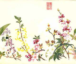 土塘养殖对虾培训班，日对虾土塘养殖