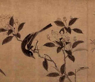 冷天什么做七彩山鸡才能继续下蛋，七彩山鸡下蛋在固定的地方吗