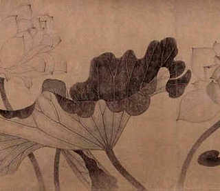长春花养殖方法介绍，长春花室内能养殖吗