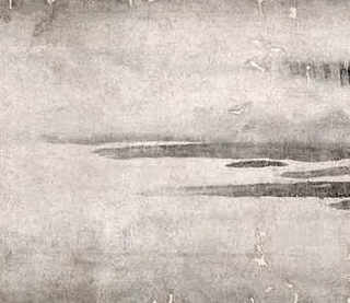 生财之道黑鱼，生财有道黑鱼养殖
