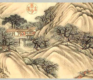 金刚虾养殖条件，金刚虾养殖条件