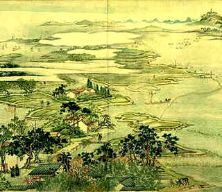 东莞草龟养殖场，东莞草龟养殖场