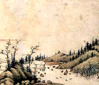鳄鱼龟养殖厂家，养殖只鳄鱼龟