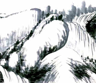 中华鲟鳞片分布，中华鲟分布在哪些地方