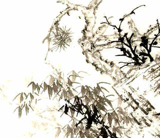 养殖可以发财吗，养殖马口鱼发财