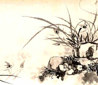 规模化养鸡场环保审批流程，养鸡场养殖流程