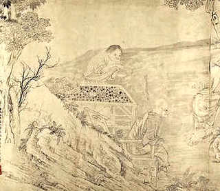 水养虞美人花期多长时间，虞美人树的养殖方法和注意事项