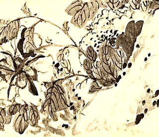 草鸭吃什么草，鸳鸯鸭吃什么草好