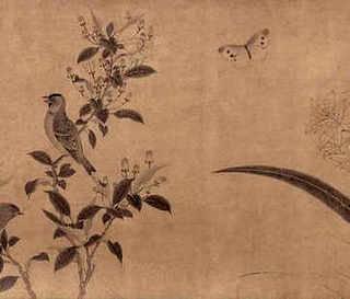 黄缘养殖厂，湖南黄缘养殖场