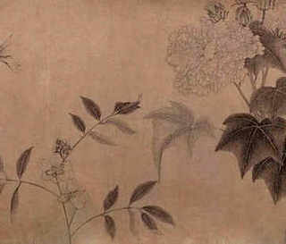 养殖河豚实现无毒了吗，养殖河豚的风险分析
