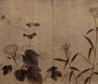 养殖梅花鹿多少一斤，梅花鹿如何进行养殖