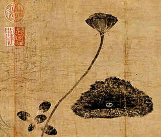 养殖前景好的项目有哪些，养殖周期短见效快的项目