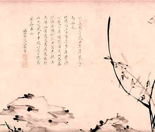 养两只鸭子注意什么，养鸭子需要注意什么事项