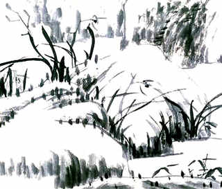 龙虾鱼缸养殖，龙虾养殖重点
