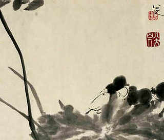 人工养殖麝，人工养殖麝香鸭是不是保护动物