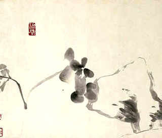 金鱼养殖方式，閲戦奔姝ｇ‘鍏绘畺鏂规硶