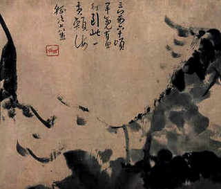 哪个地区适合养蛇，涡阳地区适合养蛇
