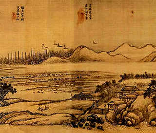 豚鼠养殖，豚鼠养殖群