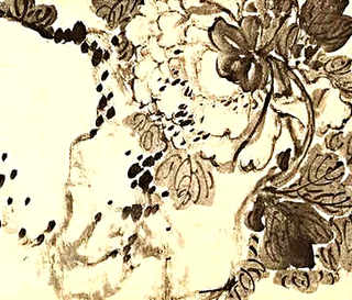 林下能养殖金蝉吗，婵怎么养殖