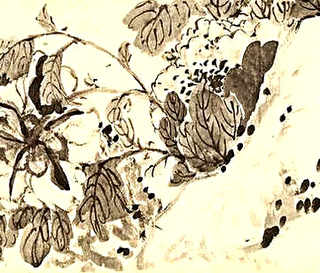 君子兰茶花养殖方法，君子兰花的养殖方法