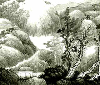 野生蜥蜴怎么养，野生蜥蜴怎么养活