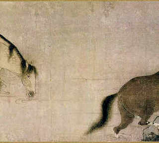 刺猬怎么养的基本常识，刺猬怎么养养刺猬需要注意些什么