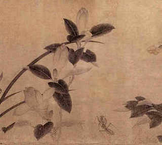 骆驼好养吗吃什么饲草多少钱一峰-请教了，哪个品种骆驼好看又好养