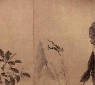 肉虾要怎么养殖才能养活，肉虾养殖技术