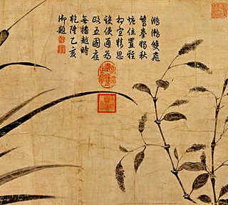 养殖大棚养鸽子，鸽子养殖怎么样