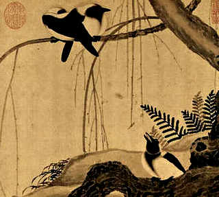 小龙虾海水养殖可以吗，湛江海水养殖小龙虾