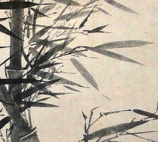 丹麦进口十字貂，进口貂养殖