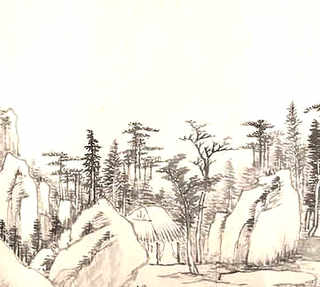 中蜂箱优点，泡沫蜂箱的优点和缺点