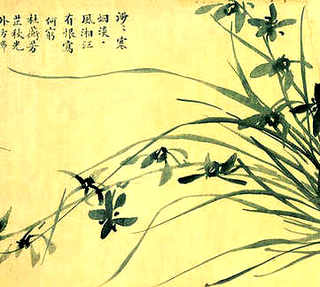 网箱养殖收益，网箱养殖收益