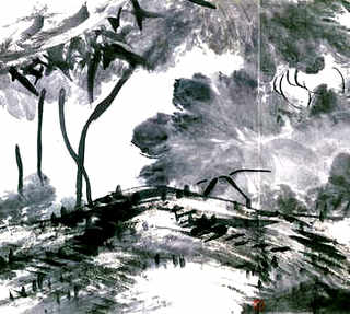 二代水仙花的养殖方法图片，如何在家里养殖水仙花视频