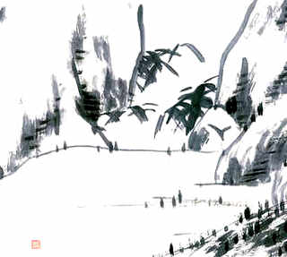 乌龟养殖方法，北方乌龟养殖