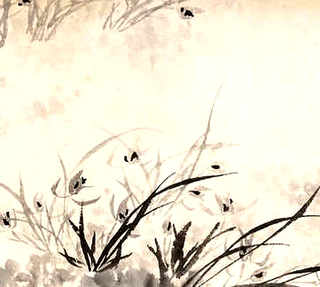 妄想山海美人鱼养殖攻略，美人鱼养殖