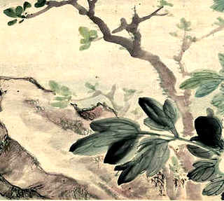 罗曼鸡的优缺点，罗曼红鸡的优缺点