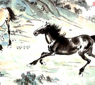虾塘长红藻是什么原因，虾塘红藻最佳处理方法