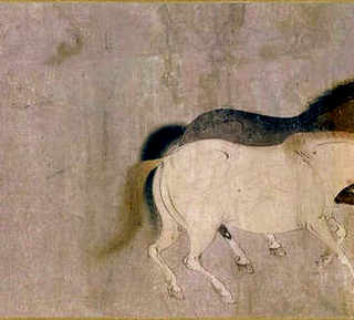 户外养殖鸡，户外养殖鸡舍简易搭建