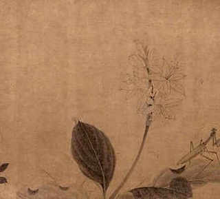 农家笨鸡养殖，笨鸡养殖条件