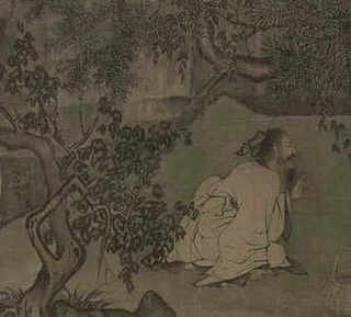 石斑珍珠鱼黑身病的症状，养殖珍珠龙胆石斑鱼患肠道病