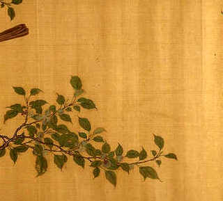 大棚养杂交野兔，有没有合作养殖野兔