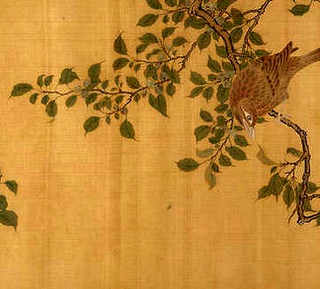 泥鳅养殖厂家，泥鳅养殖基地公司