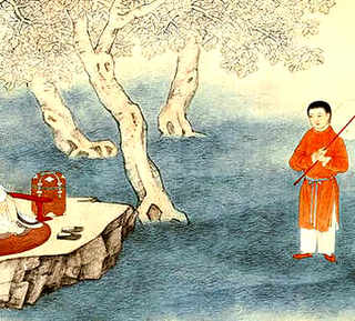 多叶羽扇豆养殖，羽扇豆百科简介