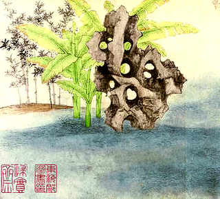 豚鼠规模化养殖方案，规模化养殖豚鼠视频