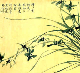 水泥池里种植什么水草好-是用来养殖小龙虾的。，酸性土质小龙虾塘种什么水草