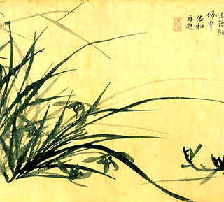 貉子养殖场用什么消毒好一点