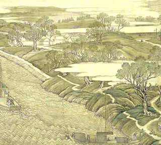 金蝉花养殖技术，金蝉花养殖繁育基地